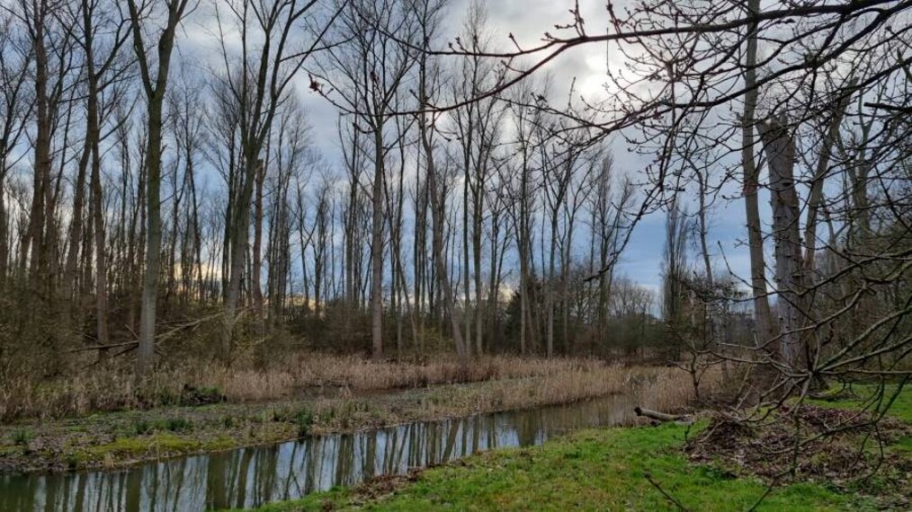 Antwerp_Hobokense_Polder_5