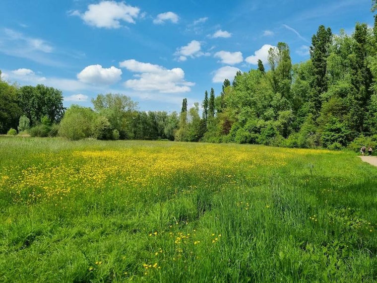 Antwerp_Hobokense_Polder_8