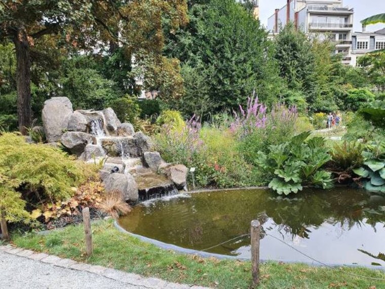 Antwerp_Plantentuin_3