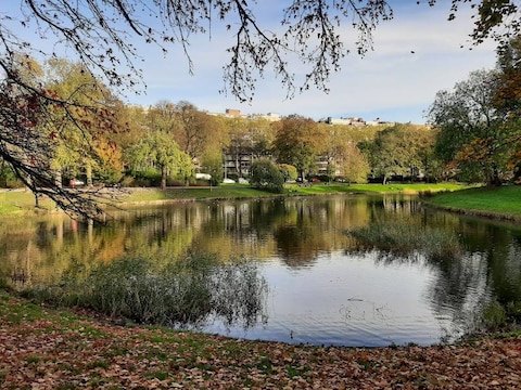 Stadspark
