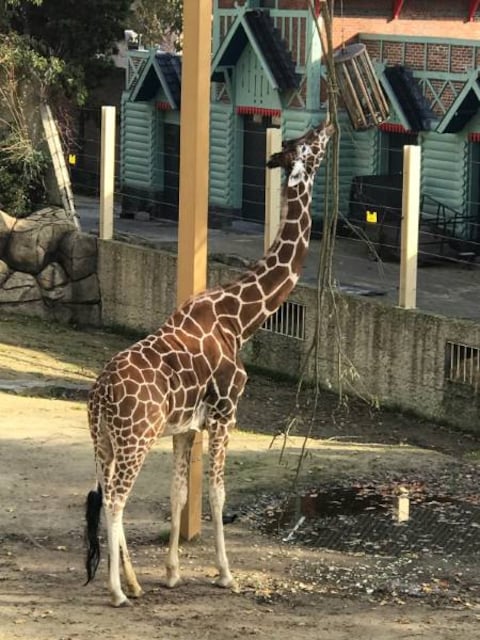 Zoo Antwerpen