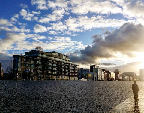 Zuid