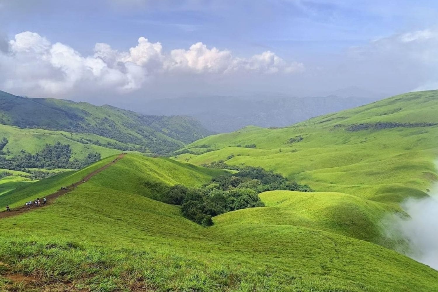 Netravathi Peak Guided Day Trek with Packed Lunch & Transfers from Bengaluru