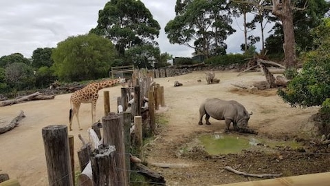 Auckland Zoo