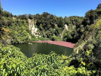 Rangitoto Island Volcanic Explorer Tour