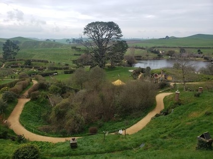 Waitomo Glow-worm Caves Tour