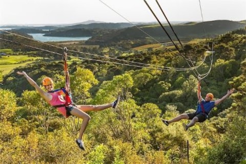 Zipline at Waiheke Island
