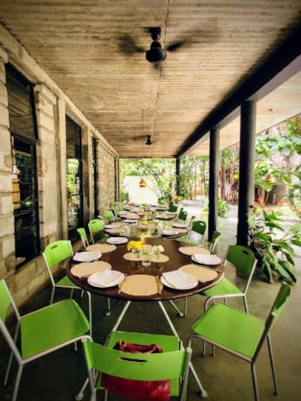 Bangalore Grasshopper Portrait Image