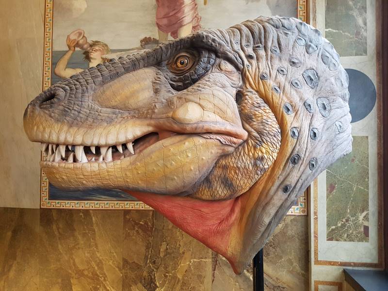 Basel_Museum_of_Natural_History_10