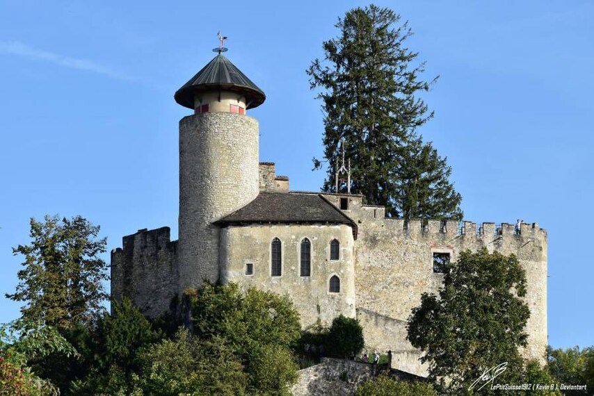 Basel_Birseck_Castle_1