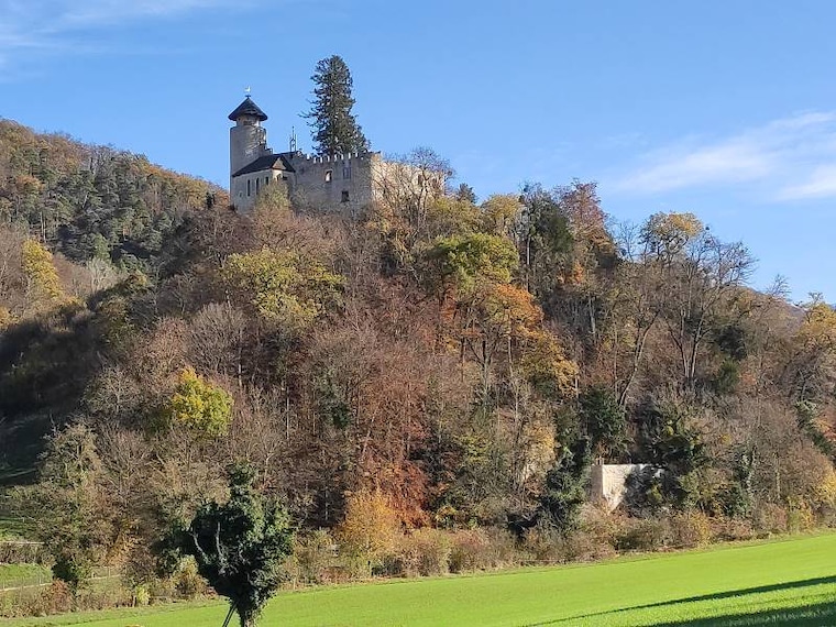 Basel_Birseck_Castle_3