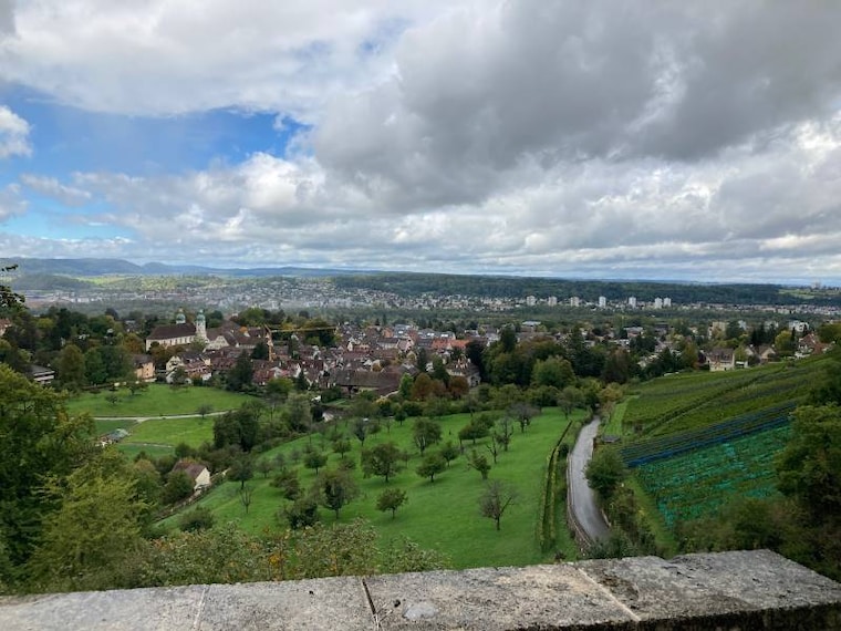 Basel_Birseck_Castle_7
