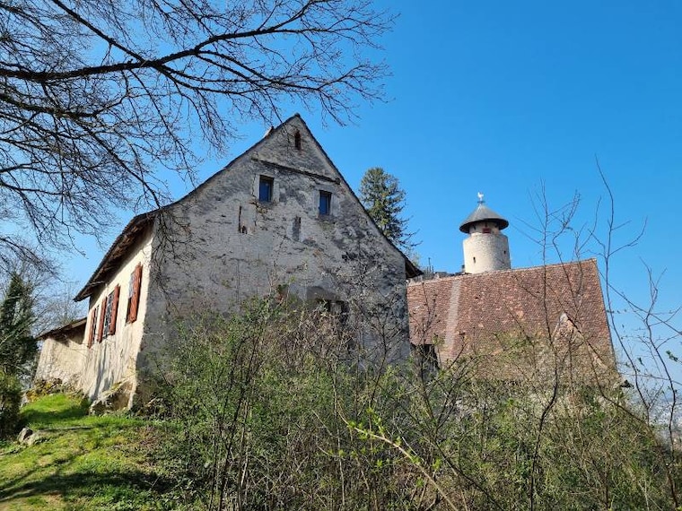 Basel_Birseck_Castle_9