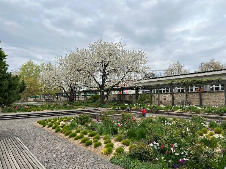 Basel_Kannenfeldpark_10