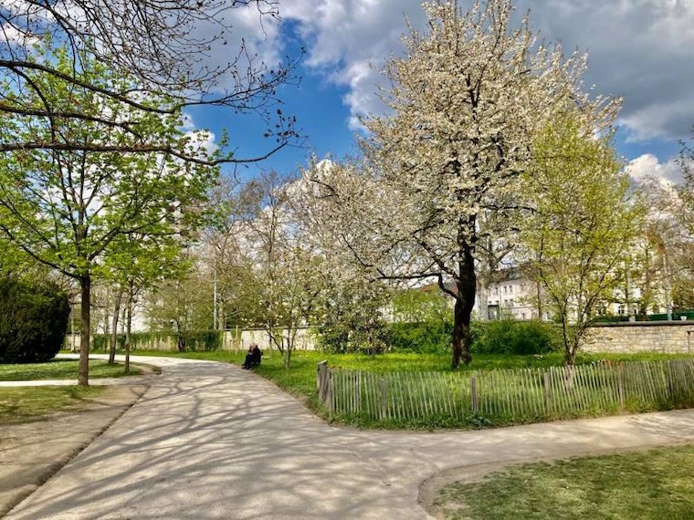 Basel_Kannenfeldpark_6