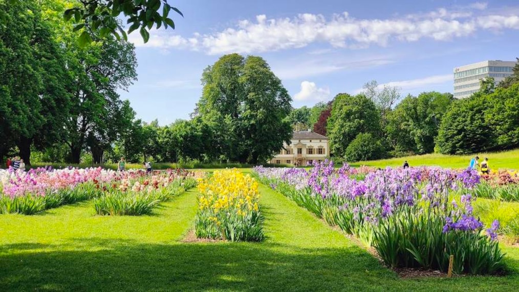 Basel_Merian_Garten_7