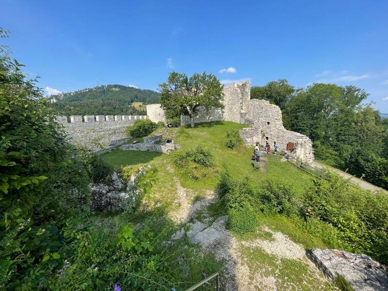 Basel_Pfeffingen_Castle_5