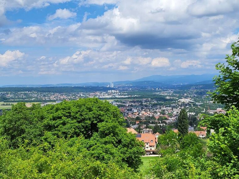 Basel_Pfeffingen_Castle_7