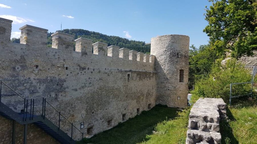 Basel_Pfeffingen_Castle_8