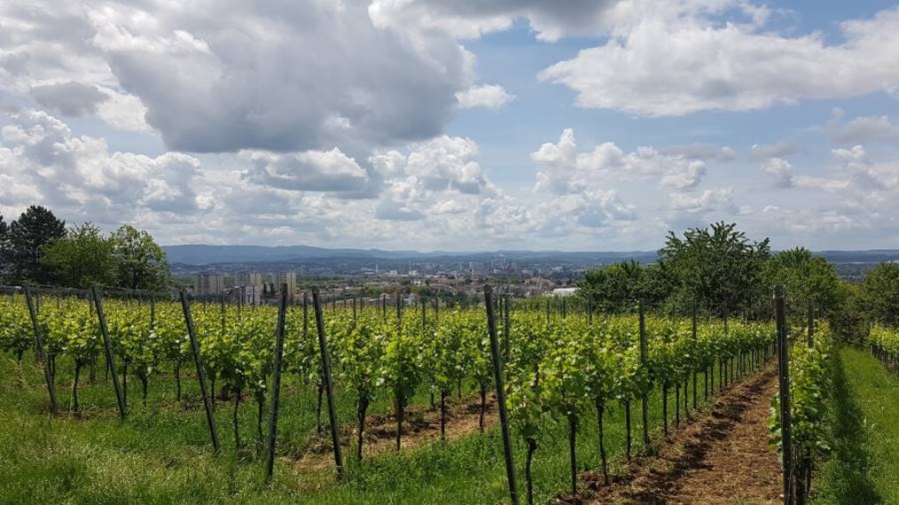 Basel_Rehberger-Weg_2