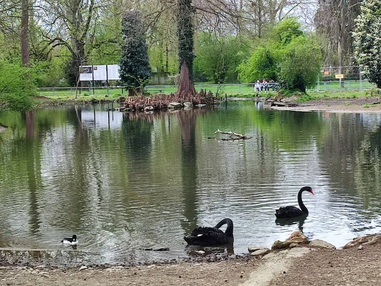 Basel_Tierpark_Lange_Erlen_7