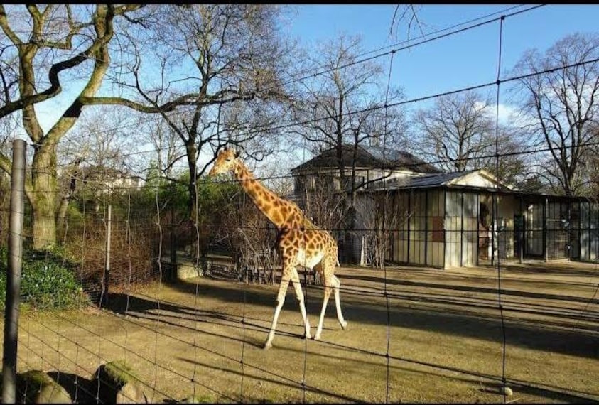 Basel_Zoo_Basel_2