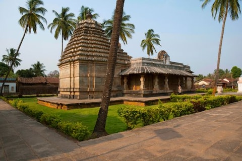 Halasi