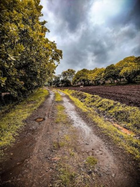 Explore Jamboti Hills