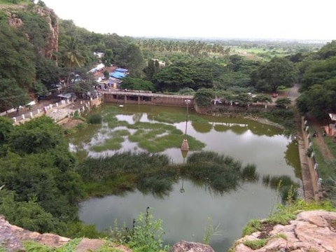 Sogal