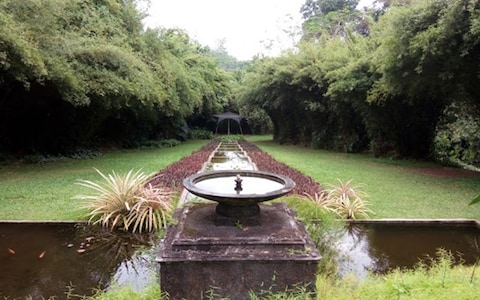 Strolling through Brief Garden