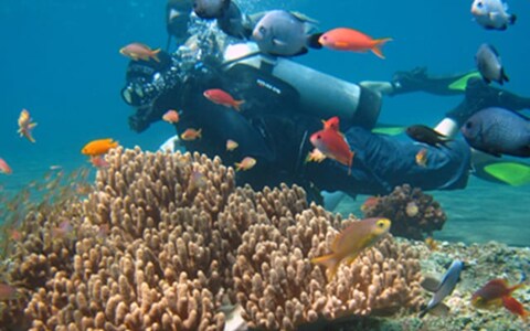Snorkelling at Hikkaduwa