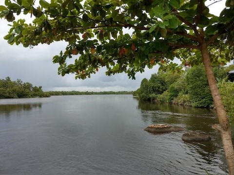 Dedduwa Lake
