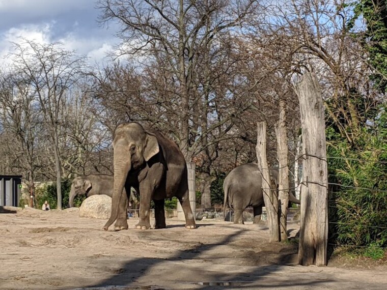 zoo_berlin_berlin_2