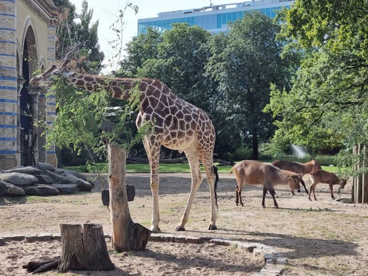 zoo_berlin_berlin_4