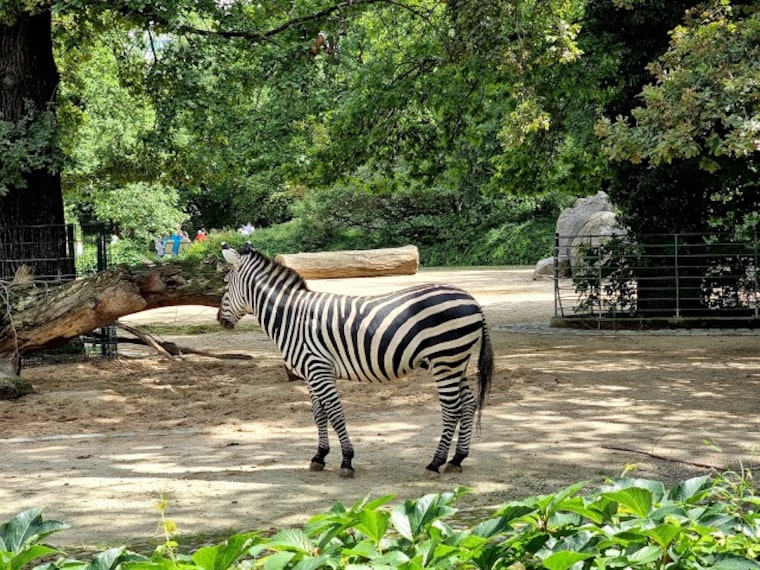 zoo_berlin_berlin_5