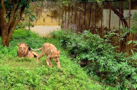 Nandankanan Zoological Park
