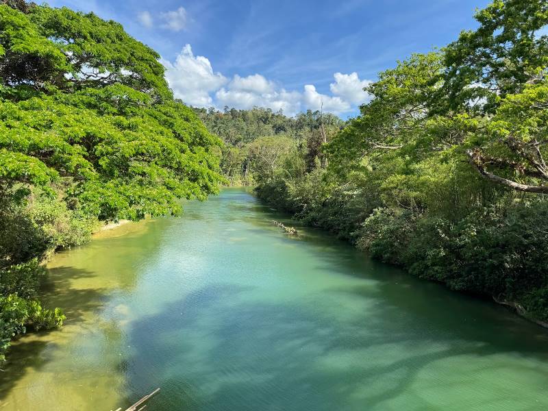 Bohol_Sevilla_Twin_Hanging_Bridge_4