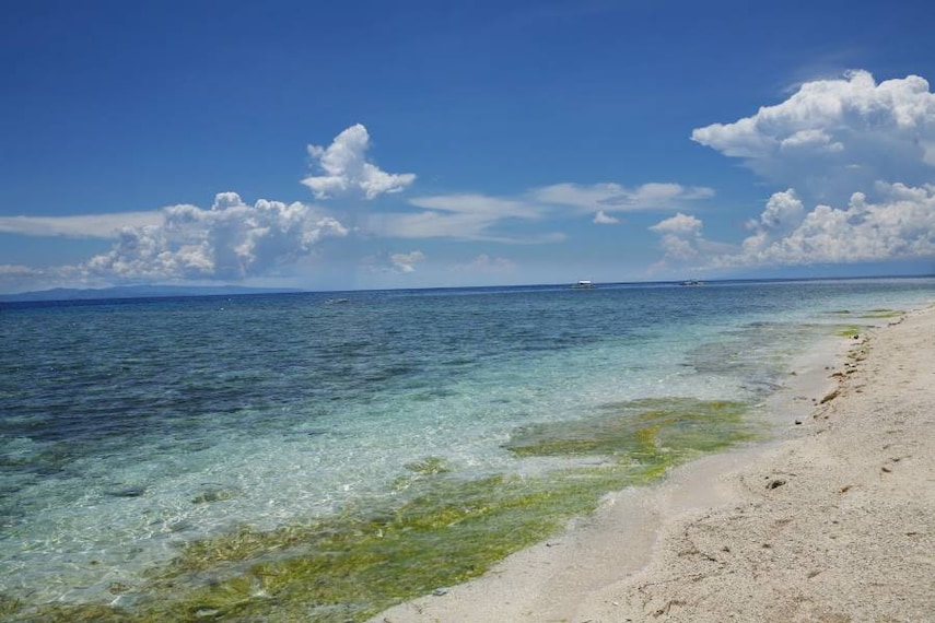 Bohol_Beach_6