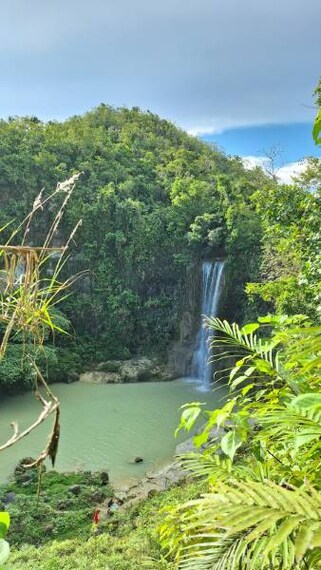 Bohol_Camugao_Falls_5