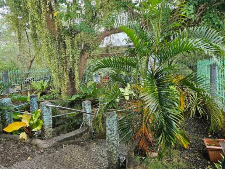 Bohol_Hinagdanan_Cave_7