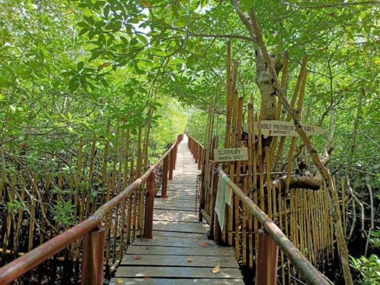 Bohol_Lamanok_Island_5