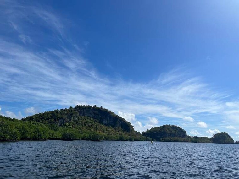 Bohol_Lamanok_Island_9