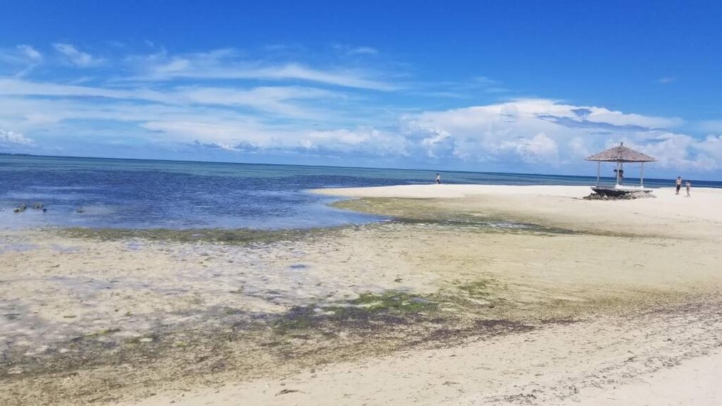 Bohol_Pandanon_Beach_1