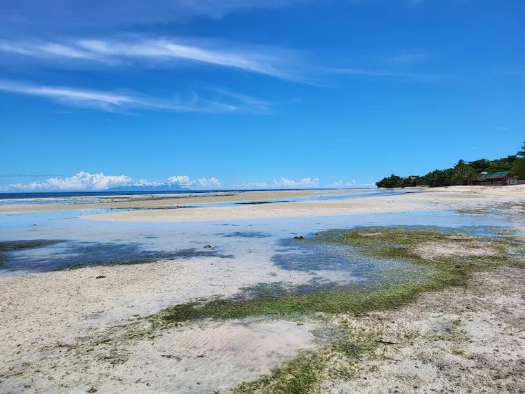 Bohol_Quinale_Beach_2