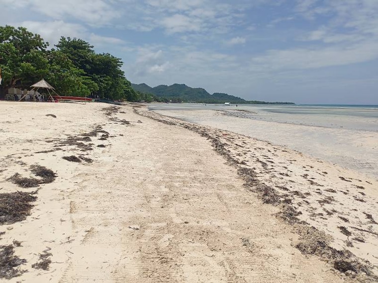 Bohol_Quinale_Beach_4