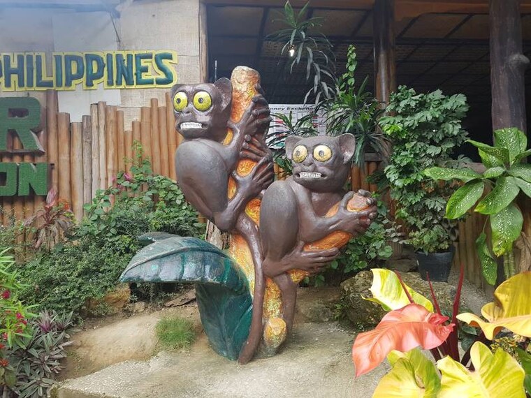 Bohol_Tarsier_Conservation_Area_7
