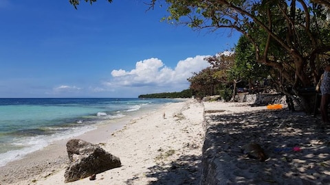 Bikini Beach