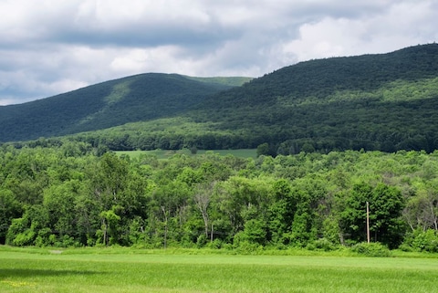 White Mountain Hike