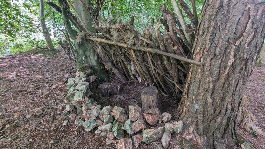 Bristol_Ashton_Hill_Plantation_10
