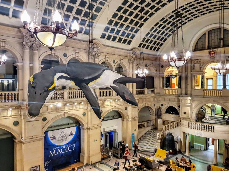 Bristol_Museum_&_Art_Gallery_4